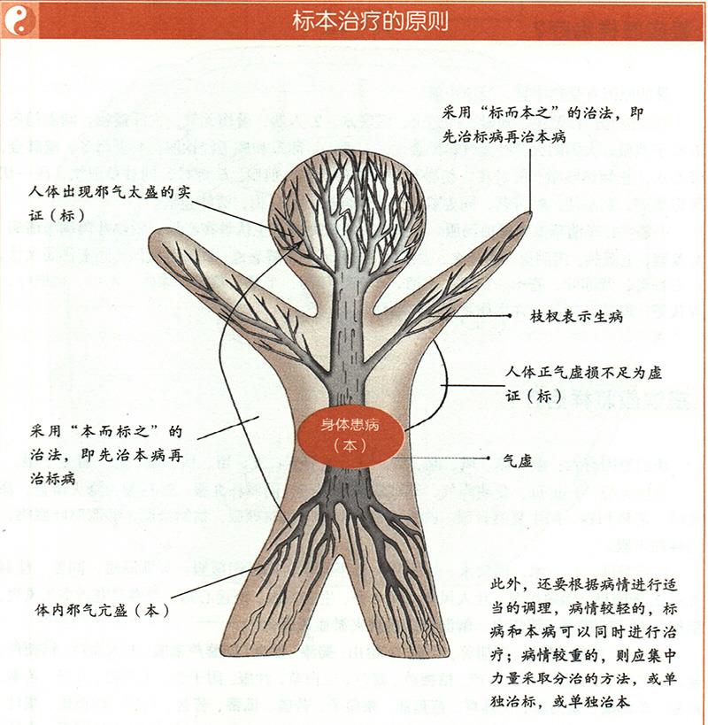 什么是標(biāo)本陰陽？