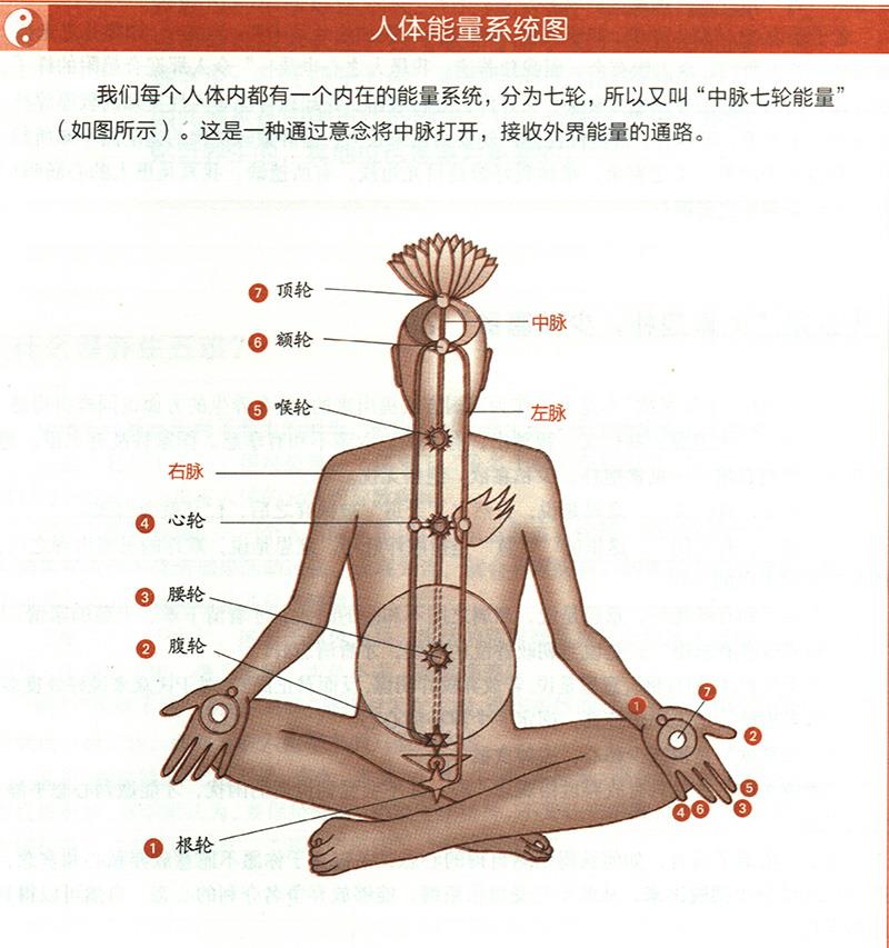 道家的“無為”為何能養(yǎng)生？