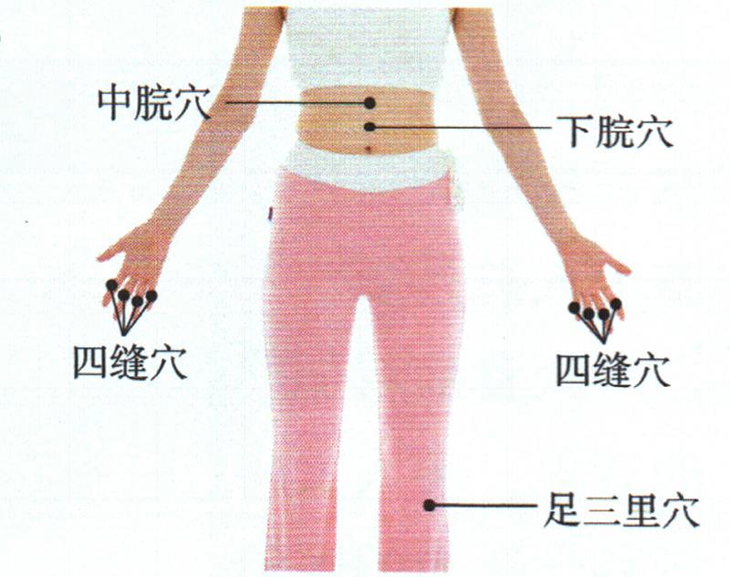 按摩足三里穴、四縫穴、中脘穴，促進(jìn)吸收增點(diǎn)肉